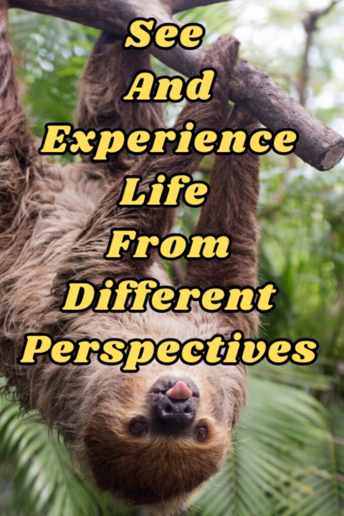 See And Experience Life From Different Perspectives Wydawnictwo Lukas